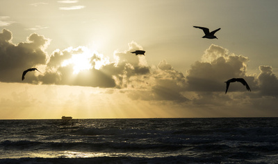 「朝の光」、健康的な体重管理に効果か 米研究