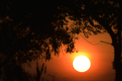 地球の生命誕生、若年期太陽の爆発現象が引き金か 研究