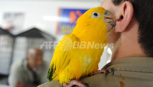 リオに 動物保育所 オープン 育児放棄の赤ちゃんたちを保護 写真枚 ファッション ニュースならmode Press Powered By Afpbb News