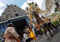 シンガポールで30日、ヒンズー教の大祭タイプーサム（Thaipusam）が行われた。ムルガ（Muruga）神をあがめるこの祭りは、 タミル暦のタイ（Thai）の月の満月の日に行われる。信者らは「カバディ（Kavadi）」と呼ばれる御輿（みこし）を鉄串などで自分の身体に固定して苦行の行進を行う。この祭りはマレーシアでも行われる。

写真は、シンガポールで行われたヒンズー教の大祭タイプーサムで、鉄串で「カバディ」と呼ばれる御輿（みこし）を体に付けて苦行の行進を行うヒンズー教徒（2010年1月30日撮影）。(c)AFP/ROSLAN RAHMAN