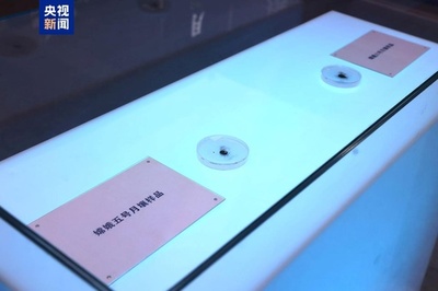 中国の月探査プロジェクト20年展示会が上海で開催 間近で見られる月からの「お土産」