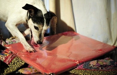 まさに「飼い犬に手をかまれる」、愛犬に居場所をバラされた容疑者