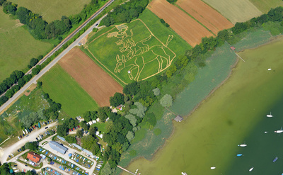 「ブレーメンの音楽隊」の巨大迷路、グリム童話200周年 独