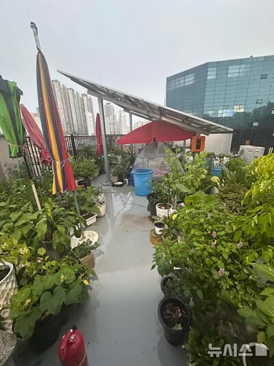 共同住宅の屋上にテントとソーラーパネル…韓国“個人植物園”化した迷惑住人