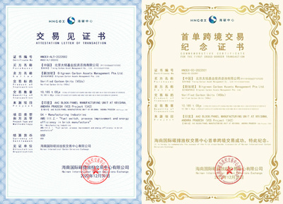 海南国際炭素排出権取引センターで初の越境取引 中国