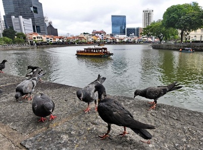 予防接種受けていない外国人は入国禁止、シンガポールが検討