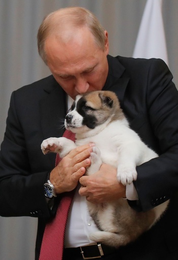 プーチン大統領、犬を贈呈される 中央アジア原産の牧羊犬