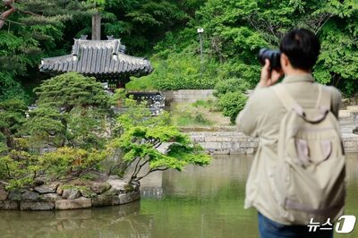 ソウルの名所に90kgイノシシ出没…2日後に射殺