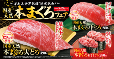 120キロ超えを厳選！くら寿司史上最高品質のマグロが今年も登場<br />「国産天然本まぐろ」フェア<br />―5月29日（金）より期間・数量限定で販売―<br />「天然だしうどん」も特別価格150円でご提供