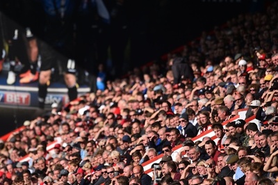 英サッカーファンの8割は同性愛の選手に好意的、英BBC調査