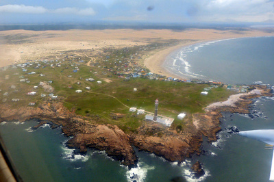 ウルグアイ海岸にペンギン死骸、3日間で数十羽打ち上げ