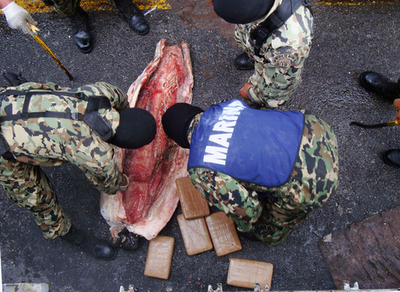 冷凍サメの腹の中からコカイン1トン、メキシコ
