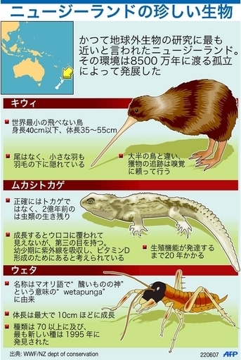 珍しい生き物の宝庫、ニュージーランド