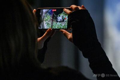 上野動物園のパンダ2頭、1月に中国返還へ 期限を前倒し