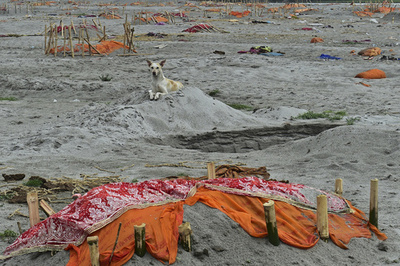 ガンジス川沿いの墓地、豪雨で遺骨露出か インド北部