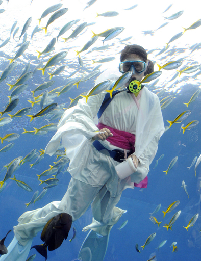 織姫がお魚に餌、シーパラの七夕イベント