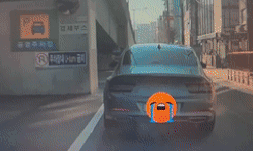 「ボベドリーム」(c)MONEYTODAY
