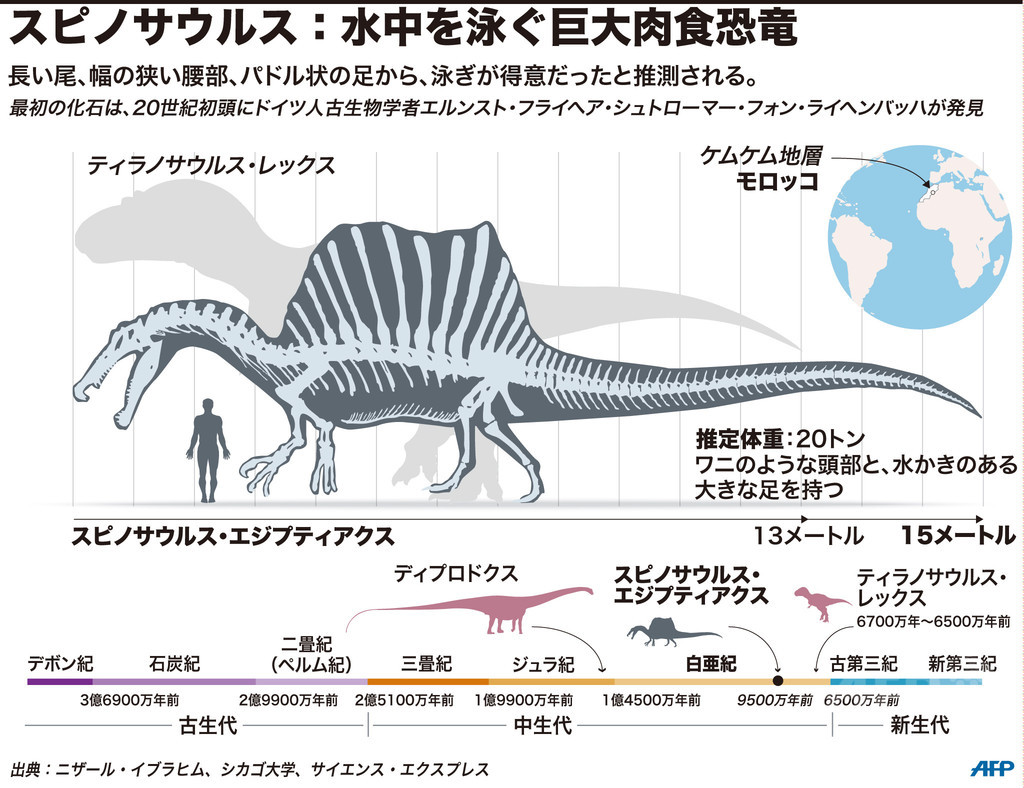 巨大肉食恐竜スピノサウルスは水中で生活 米大チームが論文 写真6枚 国際ニュース Afpbb News