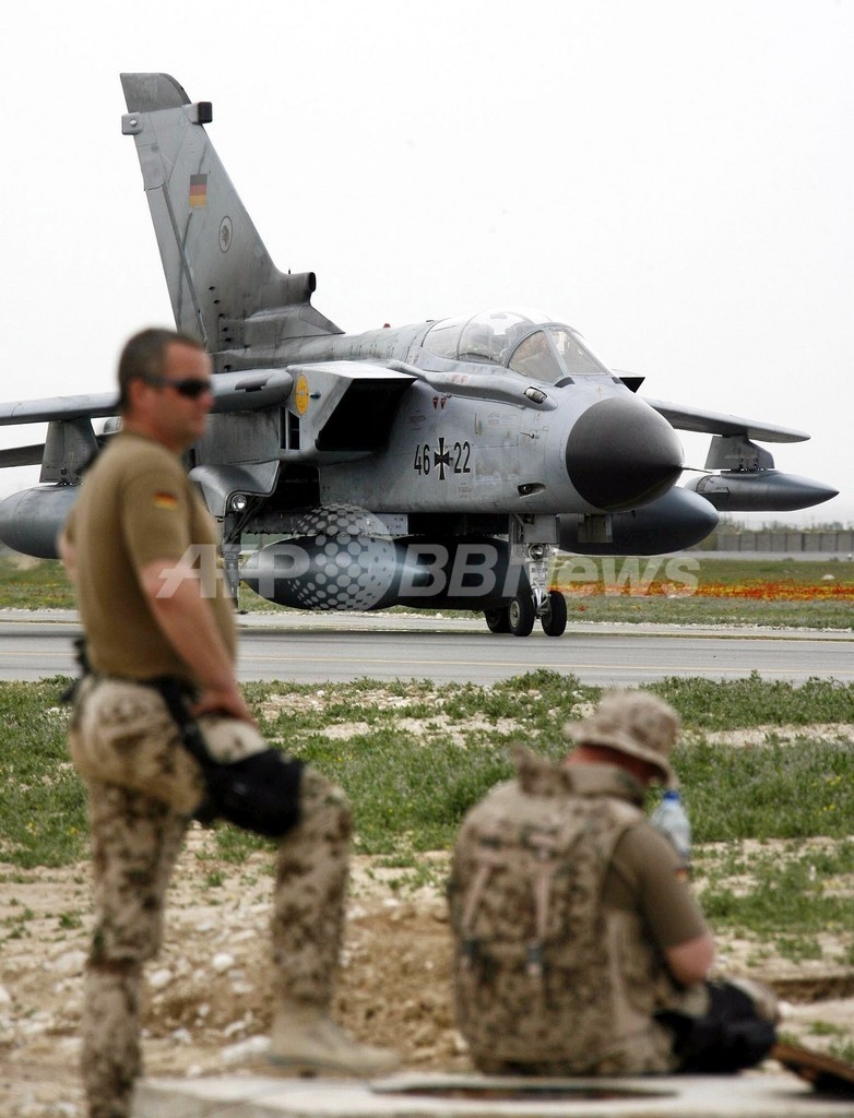 シロアリがドイツ軍を攻撃、アフガン国境近くの空港で シロアリがドイツ軍を攻撃、アフガン国境近くの空港で