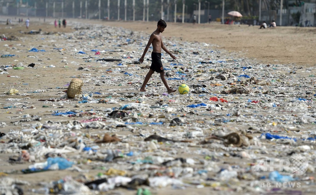 人体からマイクロプラスチック、食物連鎖に侵入 研究 人体からマイクロプラスチック、食物連鎖に侵入 研究