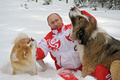 ロシア・モスクワ（Moscow）郊外の大統領公邸で2頭の犬と戯れるウラジーミル・プーチン（Vladimir Putin）大統領。写真が撮影されたのは3月24日。2頭のうち1頭は秋田県から贈呈された秋田犬の「ゆめ」（左）で、昨年6月にメキシコで開かれた主要20か国・地域（G20）首脳会議で当時の野田佳彦（Yoshihiko Noda）首相がプーチン大統領に贈呈を申し出たことから実現した。もう1頭はブルガリアから贈られた「バフィー」（2013年3月24日撮影）。(c)AFP/RIA NOVOSTI/PRESIDENTIAL PRESS SERVICE/ALEXEY DRUZHINYN