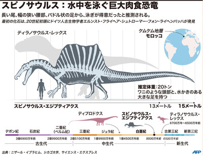 巨大肉食恐竜スピノサウルスは水中で生活？ 米大チームが論文 写真6枚 国際ニュース：AFPBB News