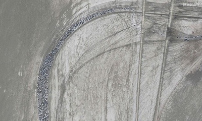 砂漠の祭典から「大脱出」 衛星画像公開