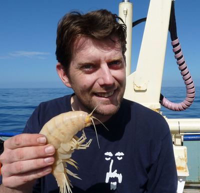 蒸しエビなら何人分？体長29センチの「超巨大エビ」発見