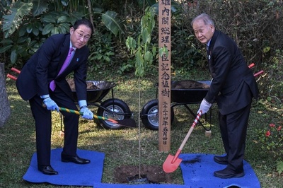 岸田首相が植樹、移民慰霊碑に献花 訪問先ブラジルで