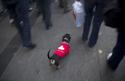 バンクーバー五輪、カナダ国旗でイヌも応援