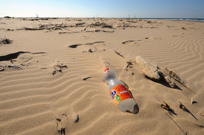 大西洋を越えたメッセージ入りボトル、米仏画家同士をつなぐ