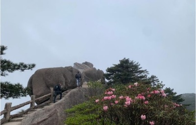 世界遺産の大自然でツツジ観賞 中国のGWで観光客にぎわう