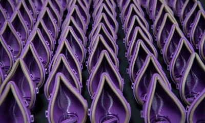 【今日の1枚】つぼみのよう、実は高性能マスク