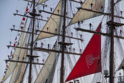 【今日の1枚】晴れ舞台はマストの上、ペルーで海軍演習