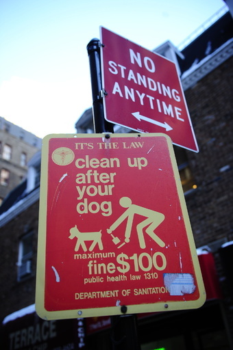 道端の排せつ物に悩む米サンフランシスコ、住民が通報アプリ開発