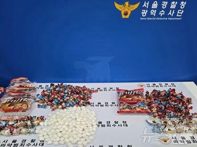 高齢者のリュックに20億円相当の「チョコレート」…実は「韓国に密輸」企てた大量の覚醒剤だった