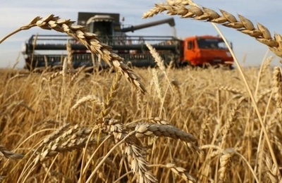 アルゼンチンが初めて中国に小麦を輸出