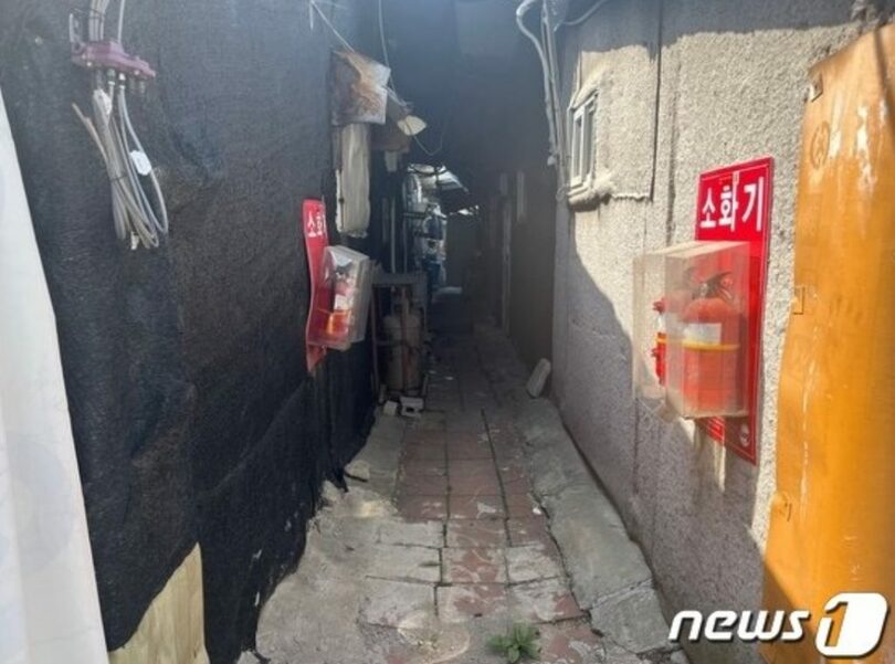 17日、ソウル市松坡区の「花卉村」の様子(c)news1