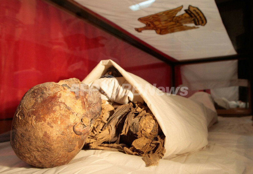古代エジプト女王のミイラを特定　歯が決め手に