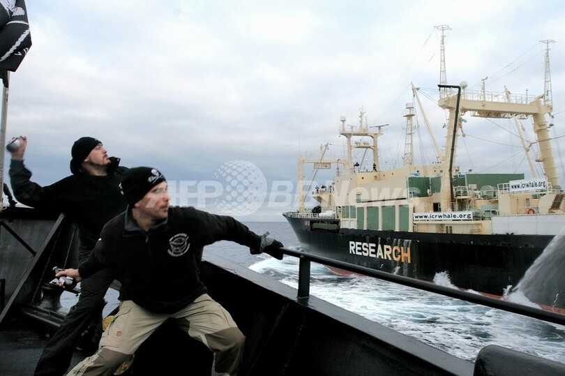 反捕鯨団体シー シェパード 日本の捕鯨船が発砲と主張 写真3枚 国際ニュース Afpbb News