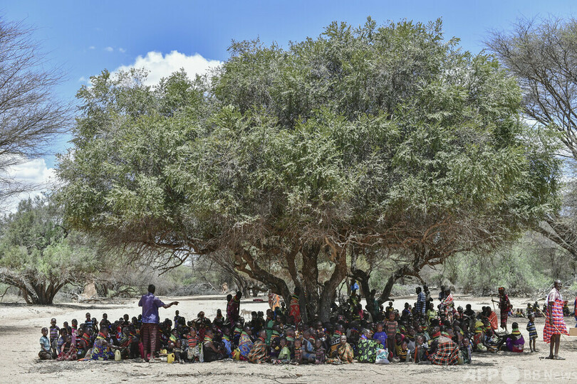 浅井戸にしみ出た水で命をつなぐ、深刻な干ばつのケニア