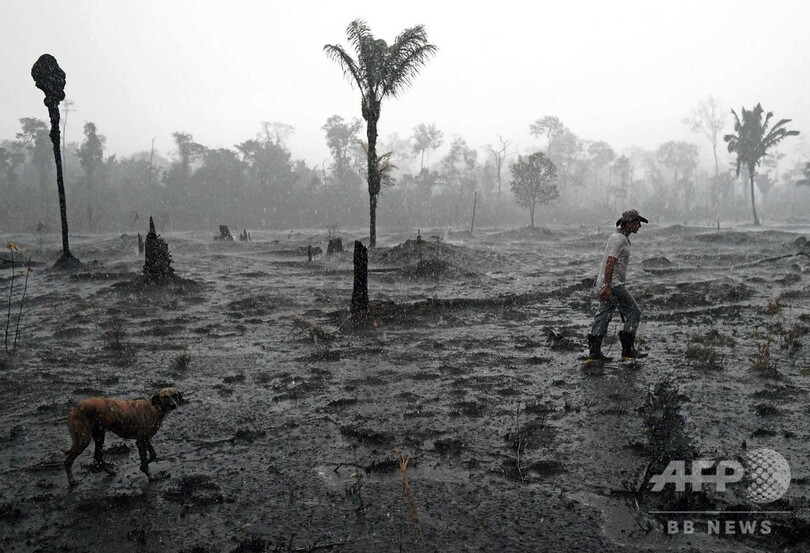 アマゾン森林破壊が加速 1 4月は前年同期比55 増 写真1枚 国際ニュース Afpbb News