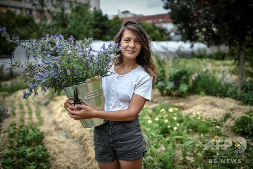 スローフラワー 運動 コロナ危機で国産の花に注目 フランス 写真9枚 国際ニュース Afpbb News