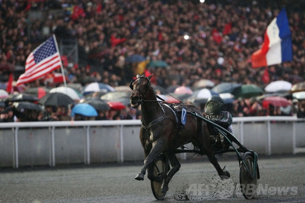 馬車レース アメリカ賞 仏バンセンヌ競馬場で開催 写真7枚 国際ニュース Afpbb News