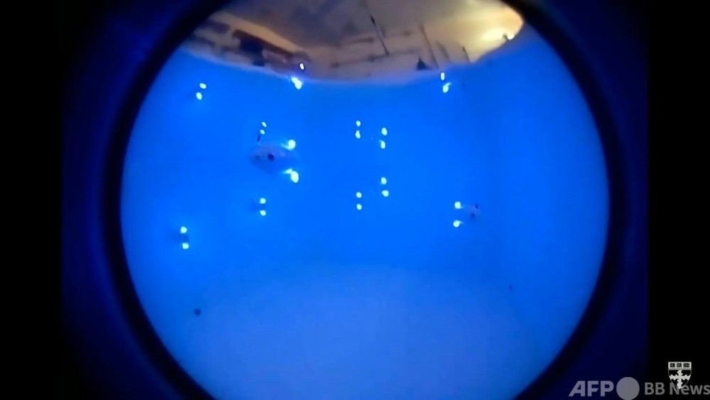 動画：本物そっくりに群れで泳ぐ魚ロボット 米大学が開発