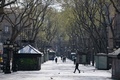 スペイン北東部バルセロナの中心部にあるランブラス通り（2020年3月19日撮影）。(c)AFP/Josep LAGO
