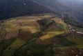 タイ北部のチェンマイにあるメーリム村の棚田の航空写真（2019年11月7日撮影）。(c)Lillian SUWANRUMPHA / AFP