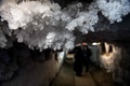 ロシアのシベリア東部ヤクーツクのメルニコフ永久凍土研究所の地下にある永久凍土研究史博物館の壁の氷の結晶（2018年11月26日撮影）。(c)Mladen ANTONOV / AFP