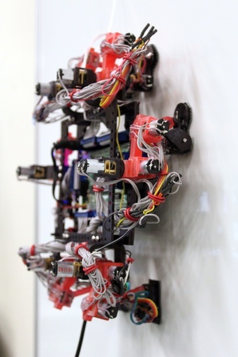 ヤモリをまねた超極細毛で壁を這うロボットを開発、カナダ大