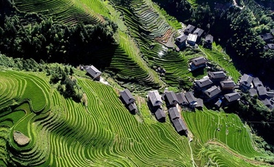棚田を染めるエメラルドグリーン　広西